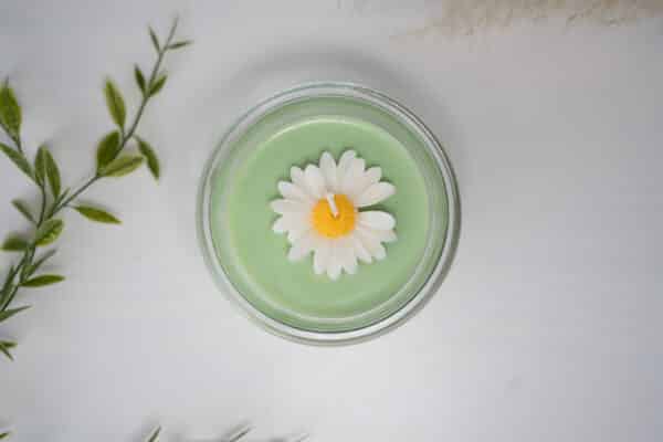 HanaPanda – Bild 5